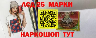 индика Тула