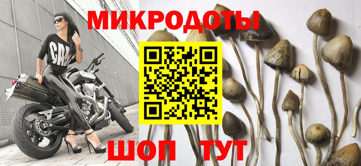 продажа наркотиков  Галлюциногенные грибы GOLDEN TEACHER  Вход с VPN  Нягань 