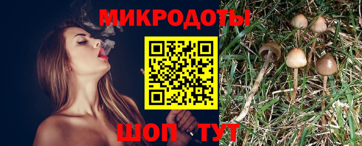 Псилоцибиновые грибы мицелий Нягань
